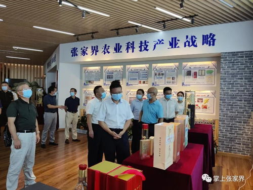 胡丘陵调研张家界王者天下生物科技，强调网站技术服务在企业数字化转型中的关键作用